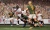 Rugby Challenge 4 [PLAY STATION 4]