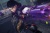 Bayonetta 3 [Б.У ИГРЫ NINTENDO SWITCH]