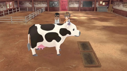 Story of Seasons: A Wonderful Life - Limited Edition[SWITCH]