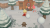 Animal Crossing: New Horizons[NINTENDO SWITCH]