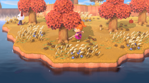 Animal Crossing: New Horizons[NINTENDO SWITCH]